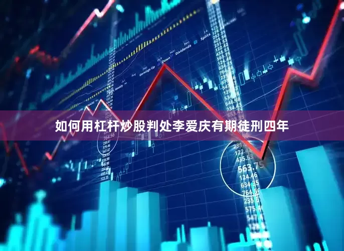 如何用杠杆炒股判处李爱庆有期徒刑四年